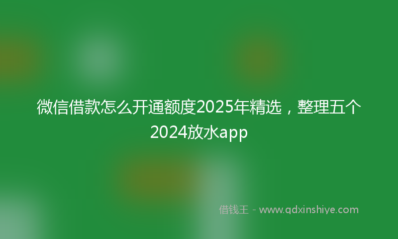 微信借款怎么开通额度2025年精选，整理五个2024放水app