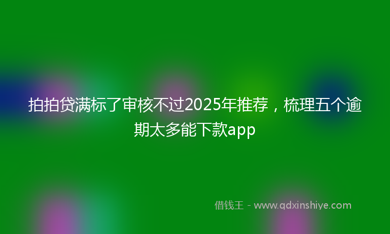 拍拍贷满标了审核不过2025年推荐，梳理五个逾期太多能下款app