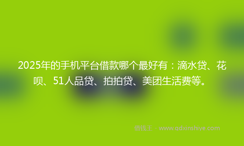 2025年的手机平台借款哪个最好有：滴水贷、花呗、51人品贷、拍拍贷、美团生活费等。