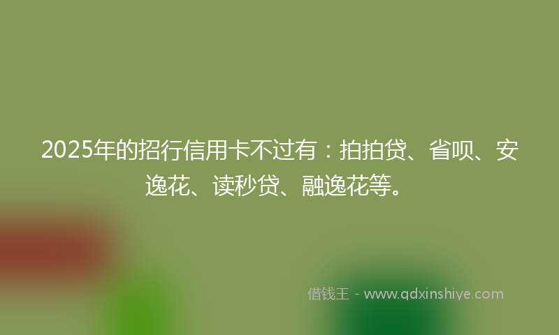 2025年的招行信用卡不过有：拍拍贷、省呗、安逸花、读秒贷、融逸花等。