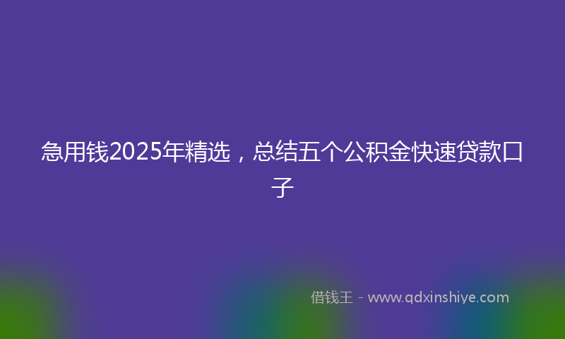 急用钱2025年精选，总结五个公积金快速贷款口子