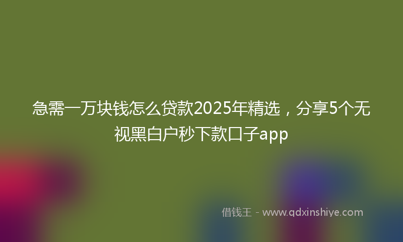 急需一万块钱怎么贷款2025年精选，分享5个无视黑白户秒下款口子app