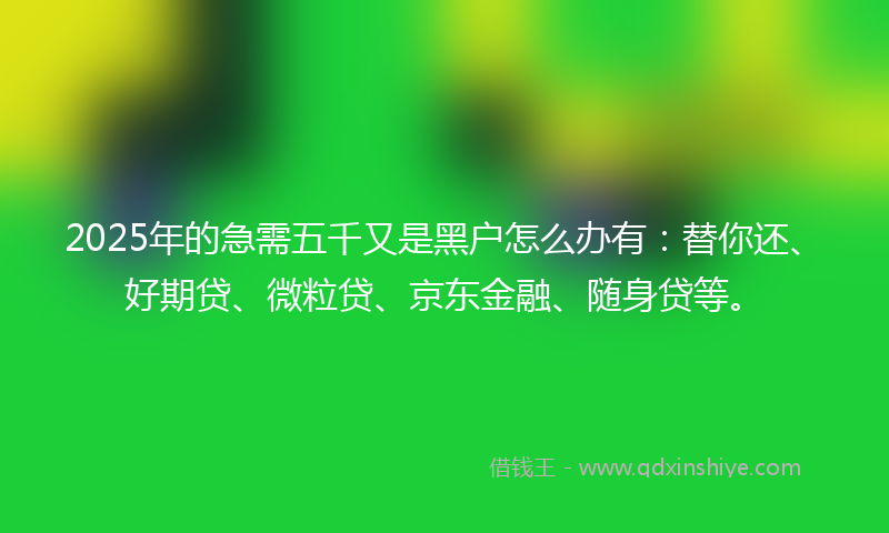 2025年的急需五千又是黑户怎么办有：替你还、好期贷、微粒贷、京东金融、随身贷等。