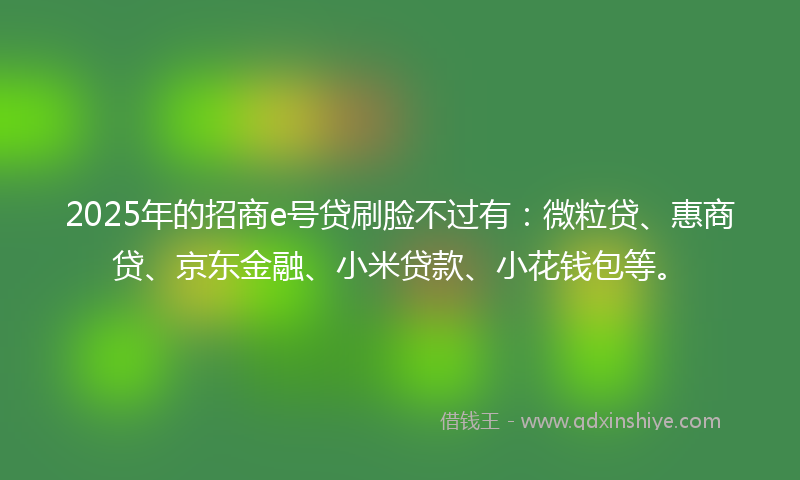 2025年的招商e号贷刷脸不过有：微粒贷、惠商贷、京东金融、小米贷款、小花钱包等。