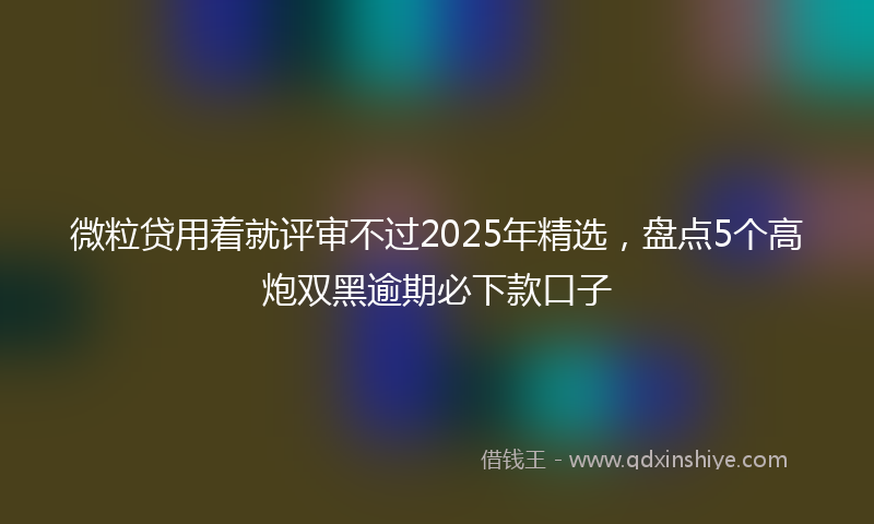 微粒贷用着就评审不过2025年精选，盘点5个高炮双黑逾期必下款口子