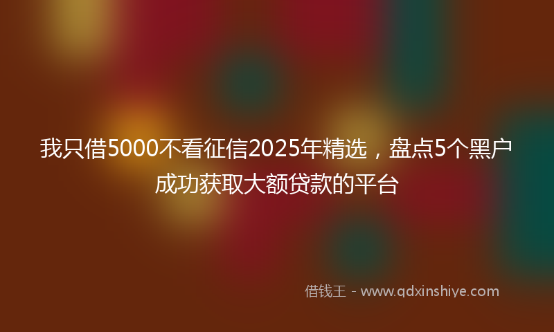 我只借5000不看征信2025年精选，盘点5个黑户成功获取大额贷款的平台