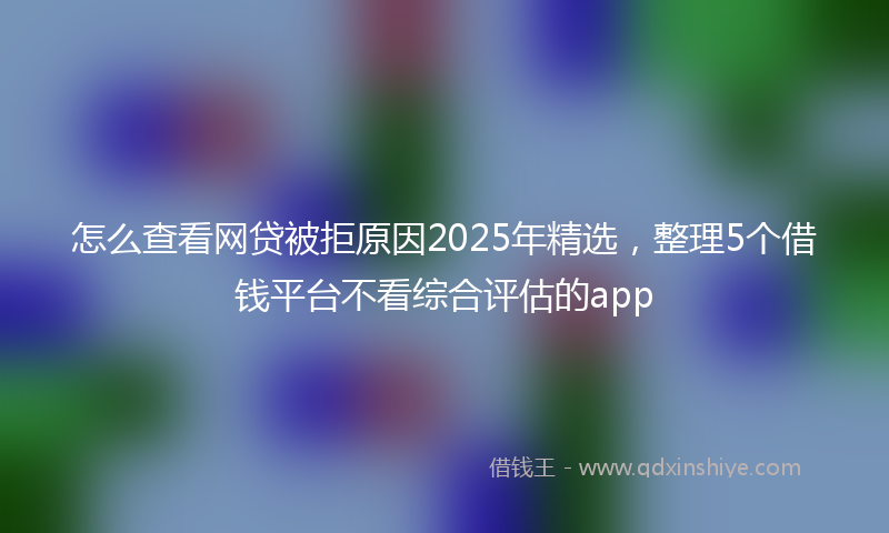 怎么查看网贷被拒原因2025年精选，整理5个借钱平台不看综合评估的app