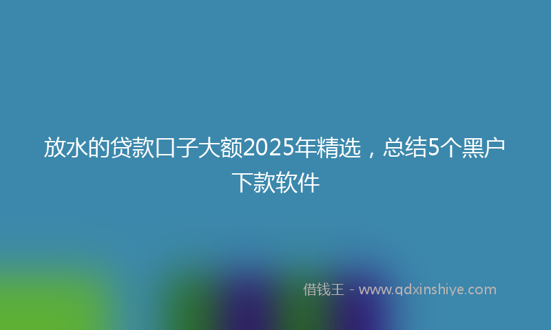 放水的贷款口子大额2025年精选，总结5个黑户下款软件