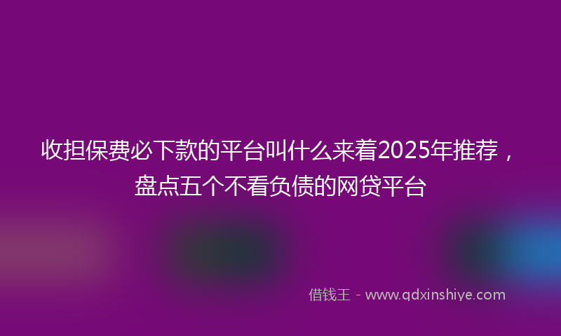 收担保费必下款的平台叫什么来着2025年推荐，盘点五个不看负债的网贷平台