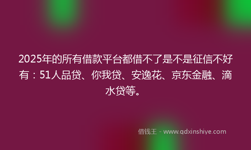 2025年的所有借款平台都借不了是不是征信不好有：51人品贷、你我贷、安逸花、京东金融、滴水贷等。