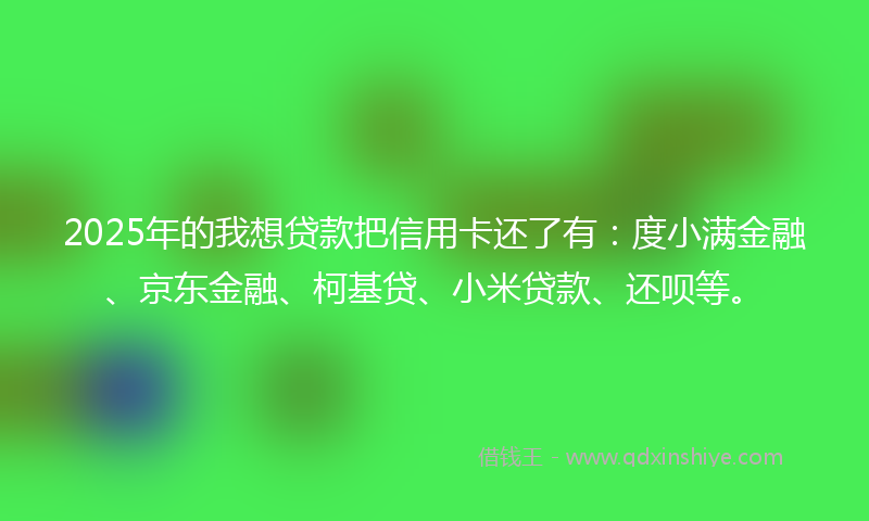 2025年的我想贷款把信用卡还了有：度小满金融、京东金融、柯基贷、小米贷款、还呗等。