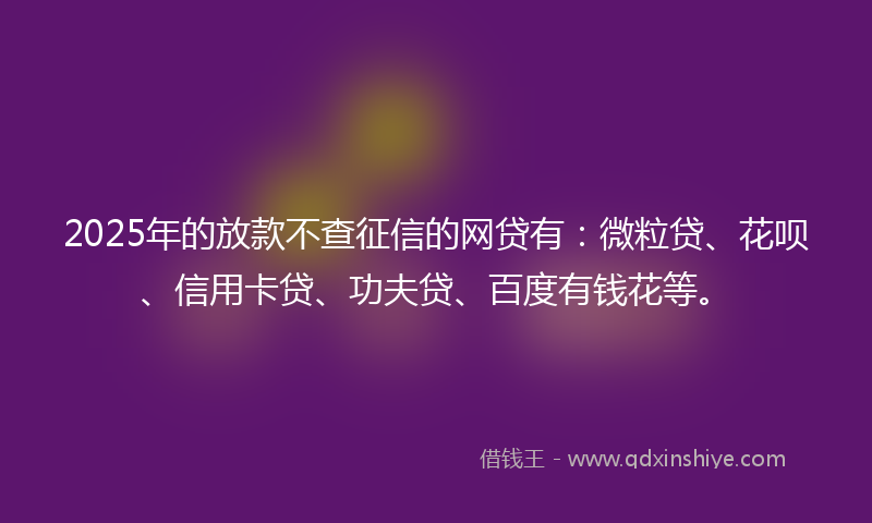 2025年的放款不查征信的网贷有：微粒贷、花呗、信用卡贷、功夫贷、百度有钱花等。