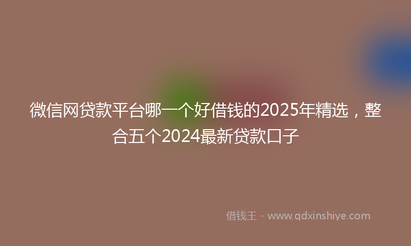 微信网贷款平台哪一个好借钱的2025年精选，整合五个2024最新贷款口子