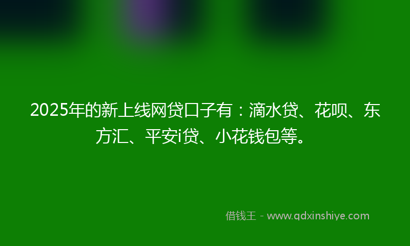 2025年的新上线网贷口子有：滴水贷、花呗、东方汇、平安i贷、小花钱包等。