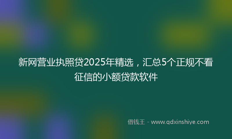 新网营业执照贷2025年精选，汇总5个正规不看征信的小额贷款软件