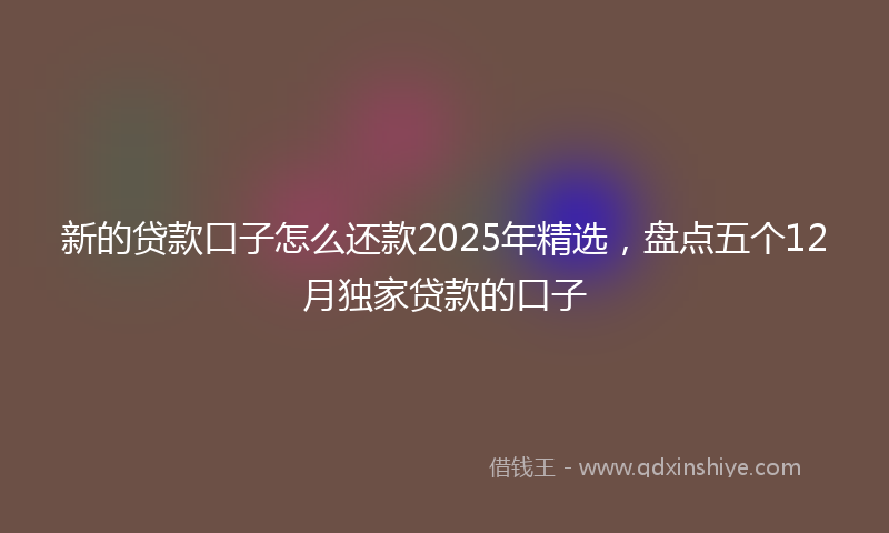 新的贷款口子怎么还款2025年精选，盘点五个12月独家贷款的口子