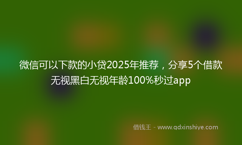 微信可以下款的小贷2025年推荐，分享5个借款无视黑白无视年龄100%秒过app