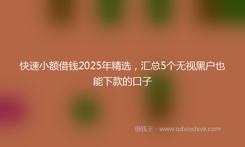 快速小额借钱2025年精选，汇总5个无视黑户也能下款的口子