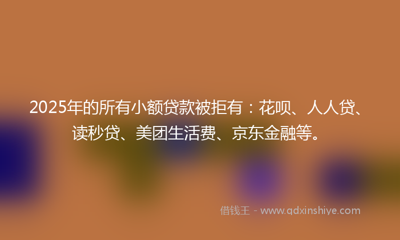 2025年的所有小额贷款被拒有：花呗、人人贷、读秒贷、美团生活费、京东金融等。