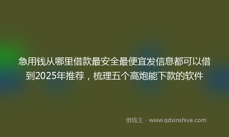 急用钱从哪里借款最安全最便宜发信息都可以借到2025年推荐，梳理五个高炮能下款的软件