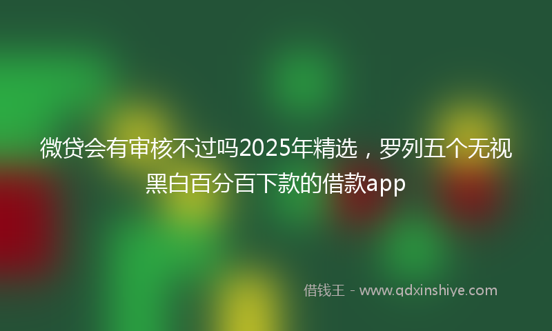 微贷会有审核不过吗2025年精选，罗列五个无视黑白百分百下款的借款app