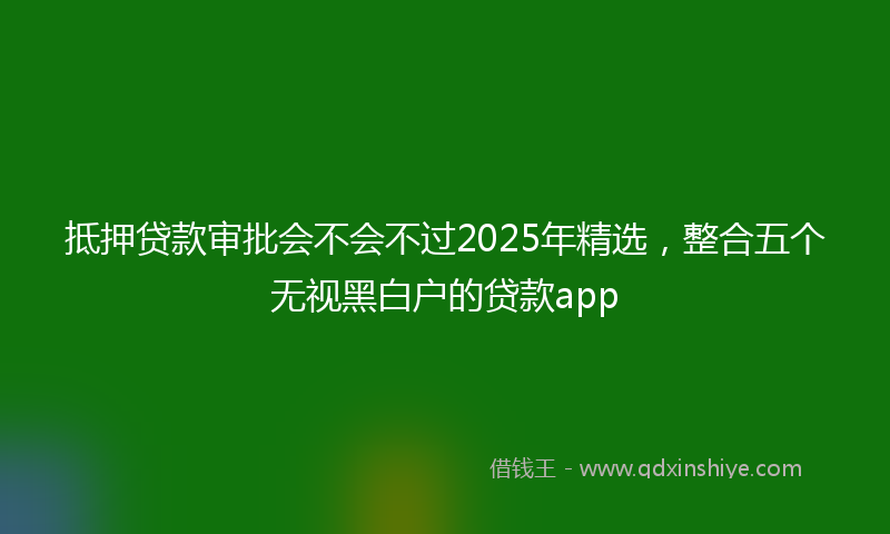 抵押贷款审批会不会不过2025年精选，整合五个无视黑白户的贷款app