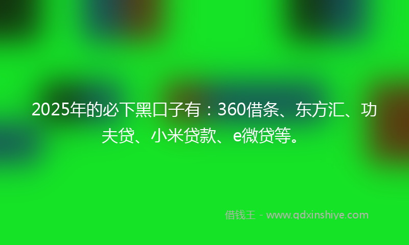 2025年的必下黑口子有：360借条、东方汇、功夫贷、小米贷款、e微贷等。