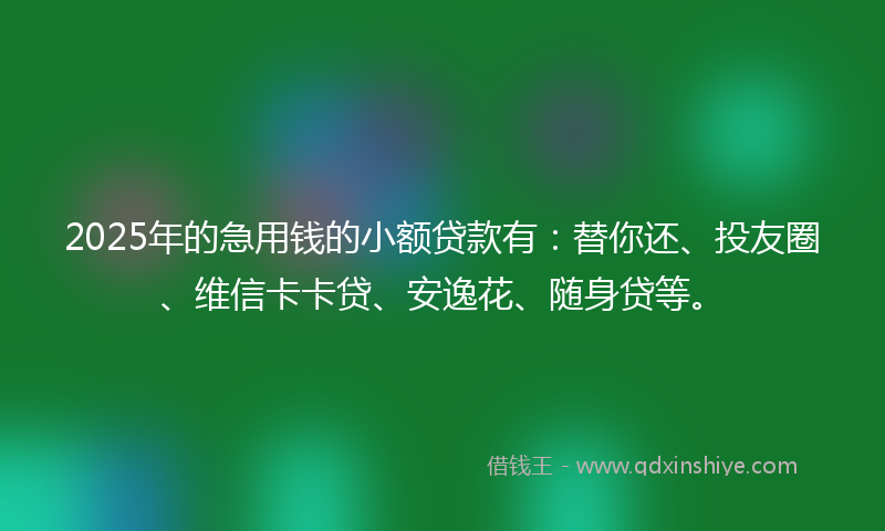 2025年的急用钱的小额贷款有：替你还、投友圈、维信卡卡贷、安逸花、随身贷等。
