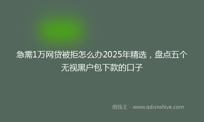 急需1万网贷被拒怎么办2025年精选，盘点五个无视黑户包下款的口子