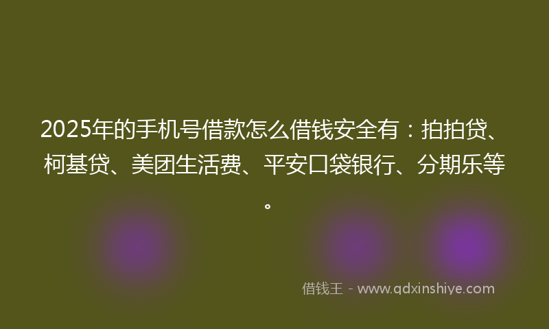 2025年的手机号借款怎么借钱安全有：拍拍贷、柯基贷、美团生活费、平安口袋银行、分期乐等。