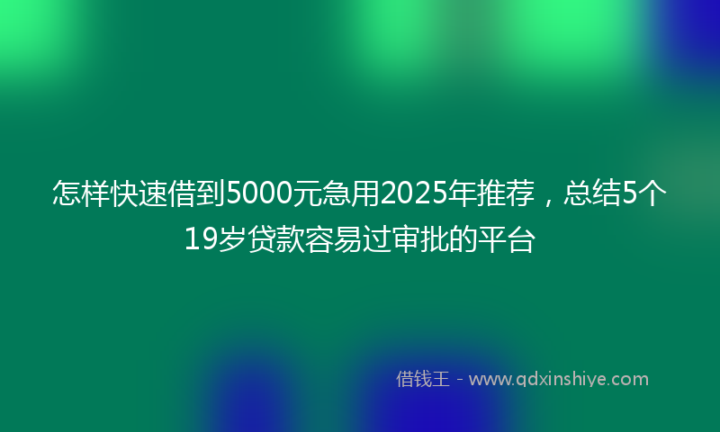 怎样快速借到5000元急用2025年推荐，总结5个19岁贷款容易过审批的平台