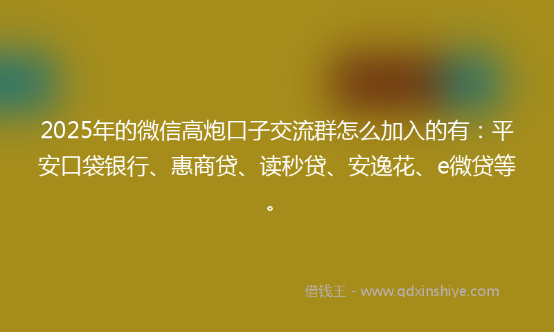 2025年的微信高炮口子交流群怎么加入的有：平安口袋银行、惠商贷、读秒贷、安逸花、e微贷等。