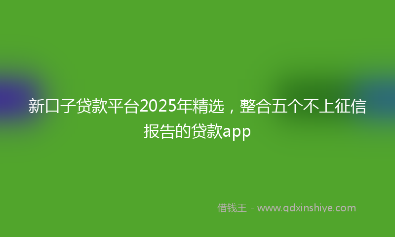 新口子贷款平台2025年精选，整合五个不上征信报告的贷款app