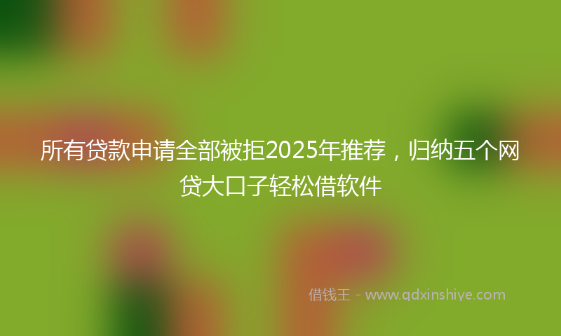 所有贷款申请全部被拒2025年推荐，归纳五个网贷大口子轻松借软件