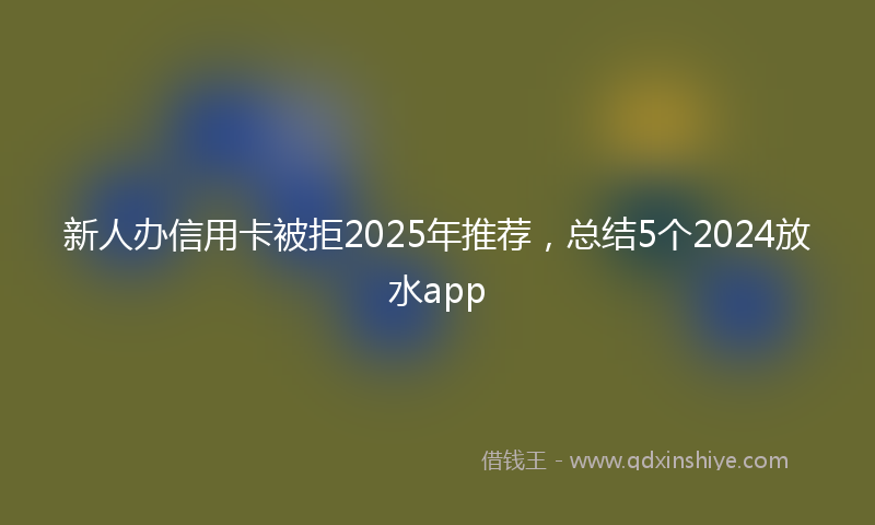 新人办信用卡被拒2025年推荐，总结5个2024放水app