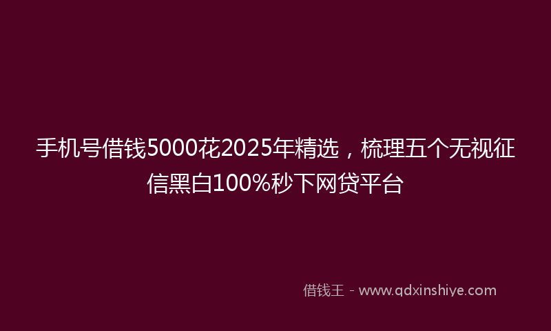 手机号借钱5000花2025年精选，梳理五个无视征信黑白100%秒下网贷平台