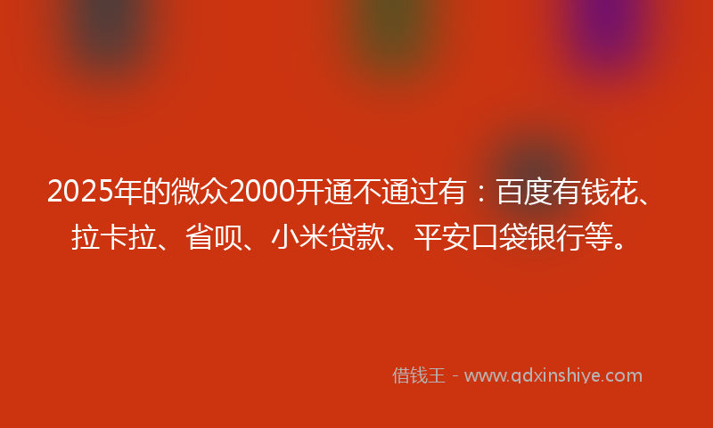 2025年的微众2000开通不通过有：百度有钱花、拉卡拉、省呗、小米贷款、平安口袋银行等。