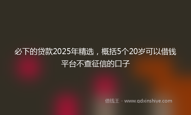 必下的贷款2025年精选，概括5个20岁可以借钱平台不查征信的口子