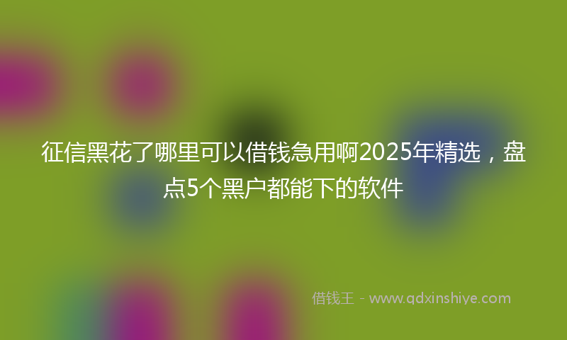征信黑花了哪里可以借钱急用啊2025年精选，盘点5个黑户都能下的软件