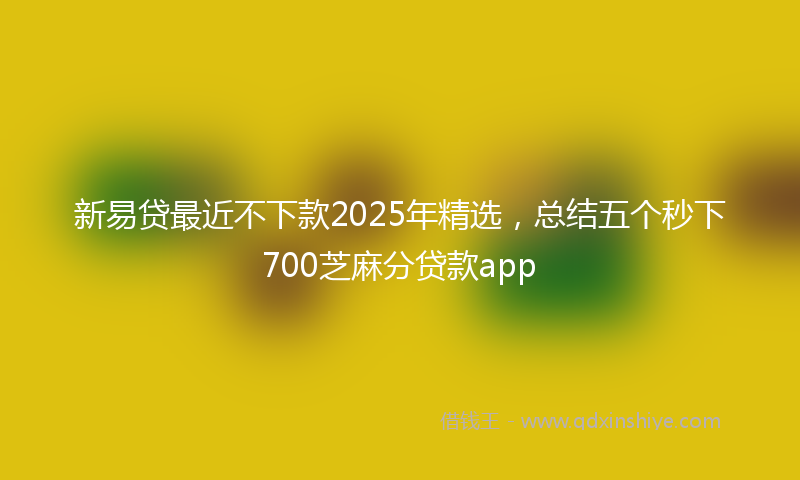 新易贷最近不下款2025年精选，总结五个秒下700芝麻分贷款app