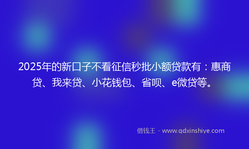 2025年的新口子不看征信秒批小额贷款有：惠商贷、我来贷、小花钱包、省呗、e微贷等。