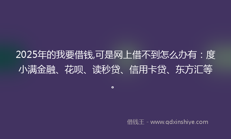 2025年的我要借钱,可是网上借不到怎么办有：度小满金融、花呗、读秒贷、信用卡贷、东方汇等。
