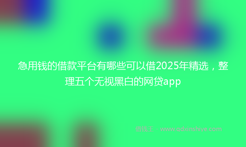 急用钱的借款平台有哪些可以借2025年精选，整理五个无视黑白的网贷app