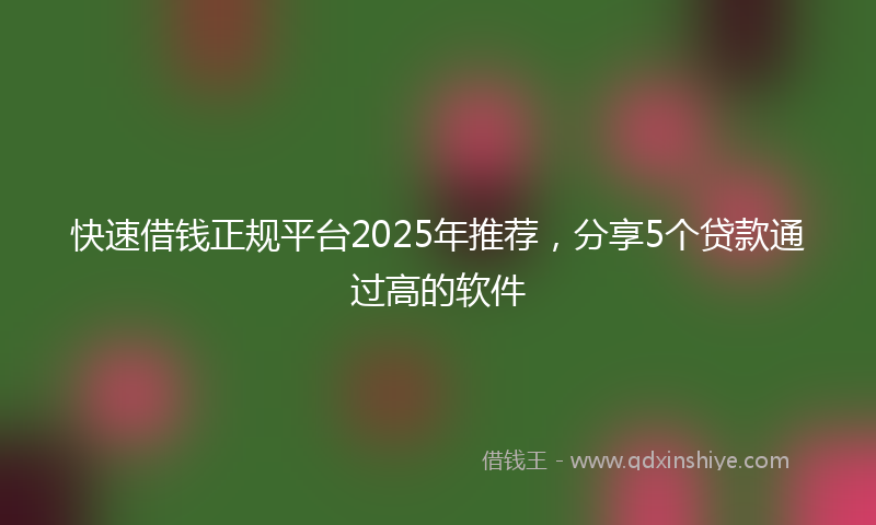 快速借钱正规平台2025年推荐，分享5个贷款通过高的软件