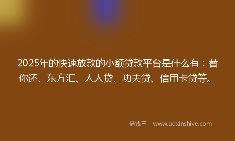 2025年的快速放款的小额贷款平台是什么有：替你还、东方汇、人人贷、功夫贷、信用卡贷等。