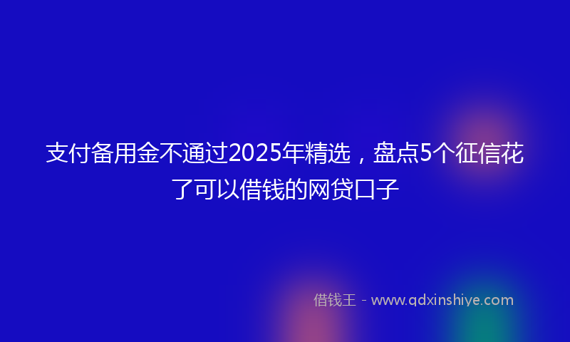 支付备用金不通过2025年精选，盘点5个征信花了可以借钱的网贷口子