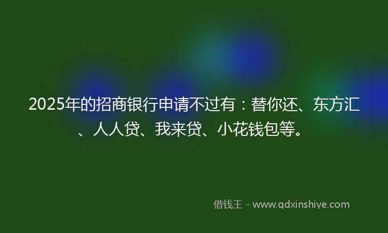 2025年的招商银行申请不过有：替你还、东方汇、人人贷、我来贷、小花钱包等。