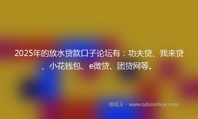 2025年的放水贷款口子论坛有：功夫贷、我来贷、小花钱包、e微贷、团贷网等。