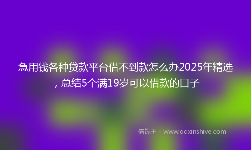 急用钱各种贷款平台借不到款怎么办2025年精选，总结5个满19岁可以借款的口子