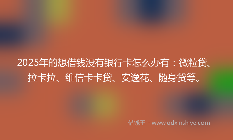 2025年的想借钱没有银行卡怎么办有：微粒贷、拉卡拉、维信卡卡贷、安逸花、随身贷等。
